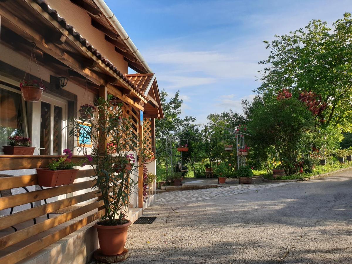 Apartment Liso Seliste Dreznicko Exterior photo
